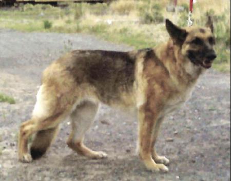 Miss Sarahtwo von Ivy