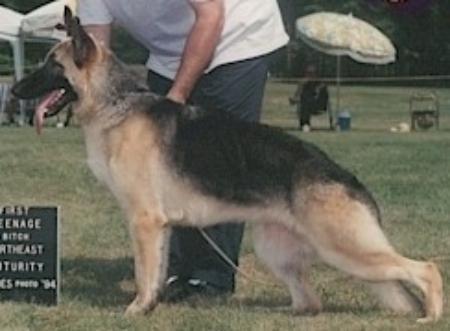 Kolbrook's D'Espirit D'Escalier