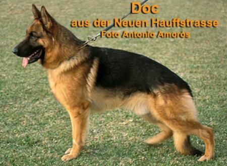 Doc aus der neuen Hauffstraße