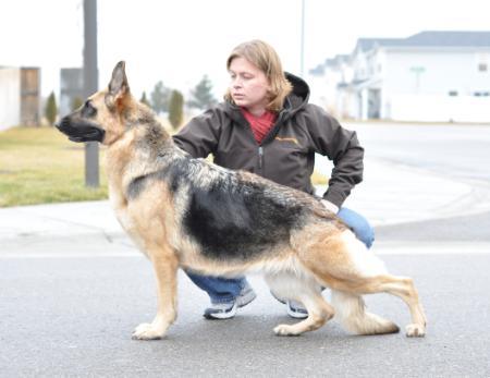 Jericho's Layla of Mi-Peg