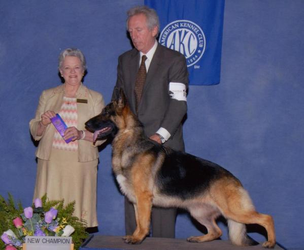 CH Ponca Hill's Rhumba of Tantara