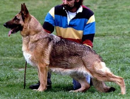 Sea-Lair's Lady Leshara