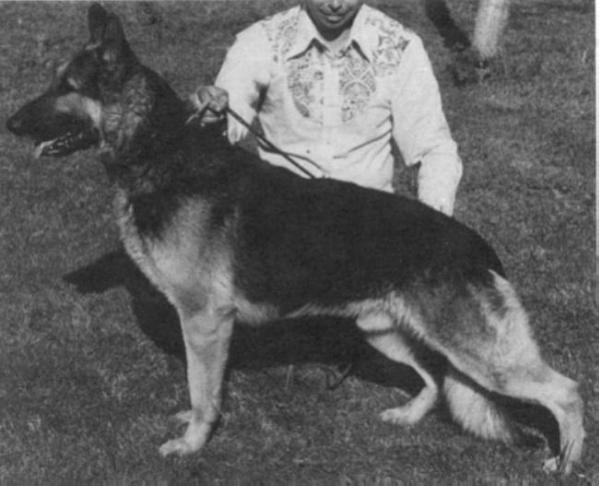 Von-Wag-Non's Gotta Lot Of Love