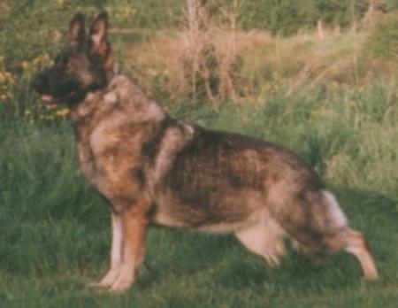 Sid's Such A Perfect Moment