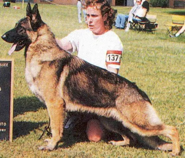 SEL CH (A/C) Joelle's Alvin v Norberge