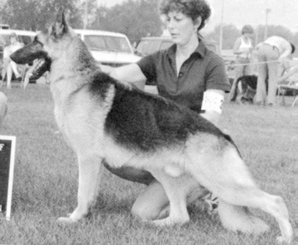 CH (US) Enderhaus's Comotion