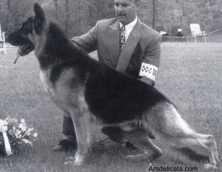 CH (US) Suro's Smooth Opa-Raider