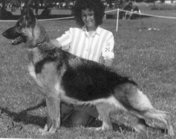 Jericho's Sans Serif of D'Arte