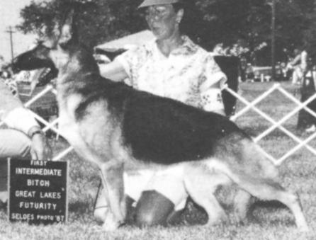 CH Panmar Hot-Toddy v Lebensraum