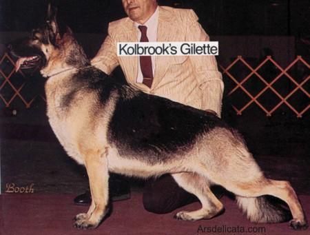 CH (US) Kolbrook's Gilette