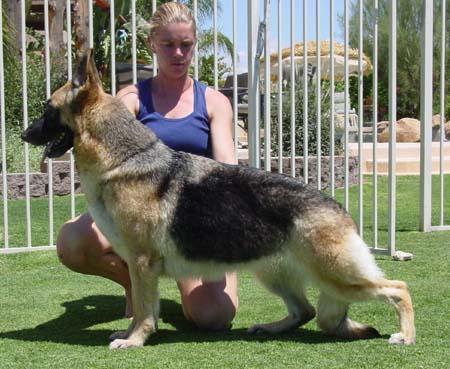 Kaye's Kandid Kamera