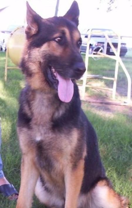 Devo vom Kleinen Tal