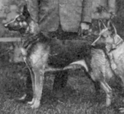 INT.CH. Frido (Ferro) von der Secretainerie