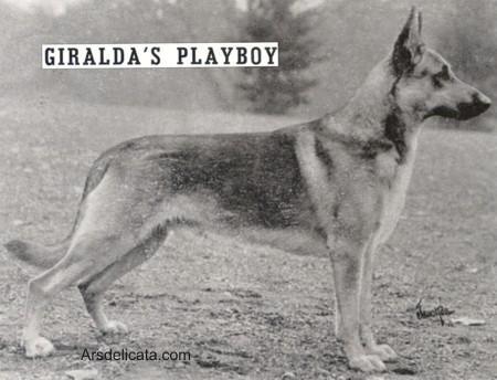 CH (US) Giralda's Playboy