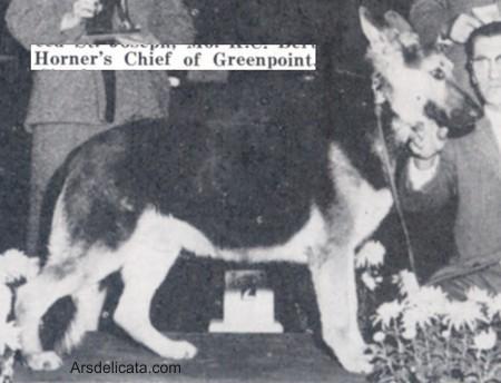 CH (US) Horner's Chief of Greenpoint