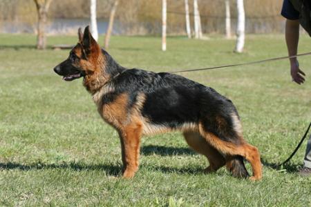 V Characterhaus La Moon