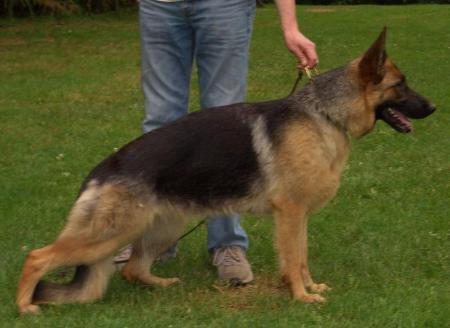 Newenga Vom Haus Cerba