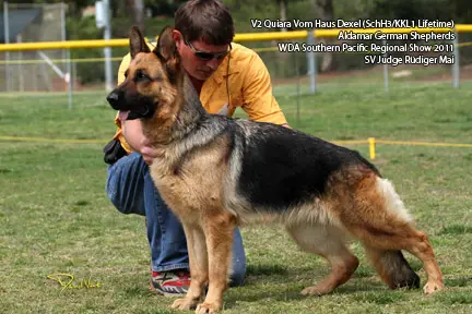 V Quiara vom Haus Dexel