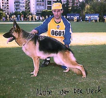 Nube Von Der Veck