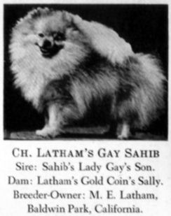 CH Latham's Gay Sahib