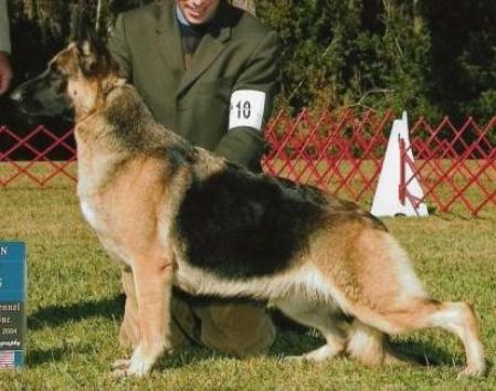 PAM CH MACH PACH2 Carousel Farms Caisson