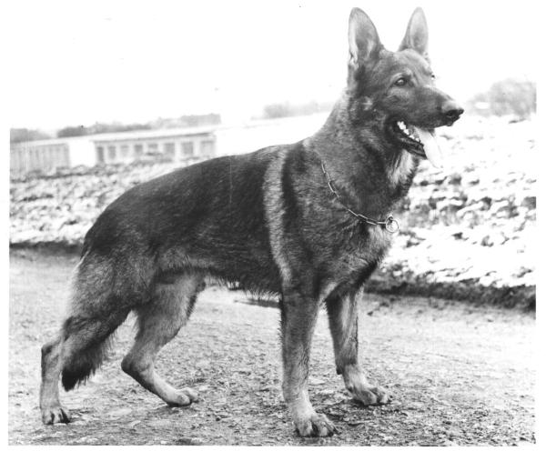 VD Bart z Maskovce CS