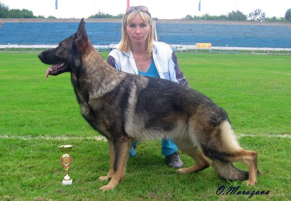 CH RUS Darina v. Nord Traum