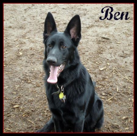 Ben Gretsch