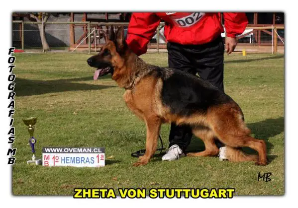 Zeta Von Stuttgart