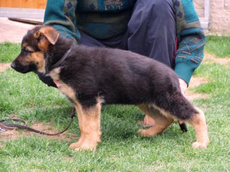 Natan z Lipe Moravia