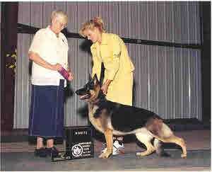 CH TC Castle's Queen Victoria