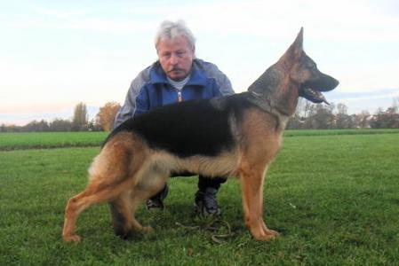 Jule von der Schmiede