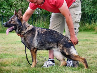 Vera vom Flossgraben