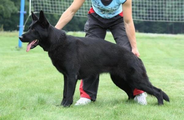 VD Beauty Krasnoocko