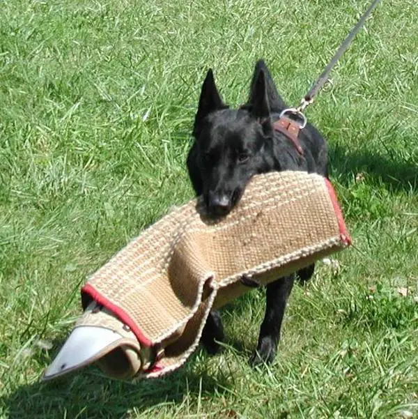 Josie vom alten Wingertshaus