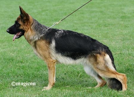 Quana von Bellissimo