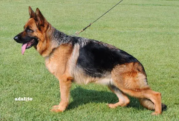 Una (von Rosario)(2008)