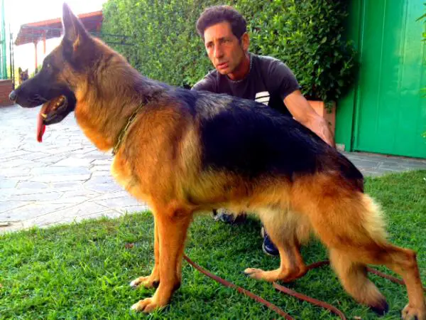 Zisca della Valle del Liri