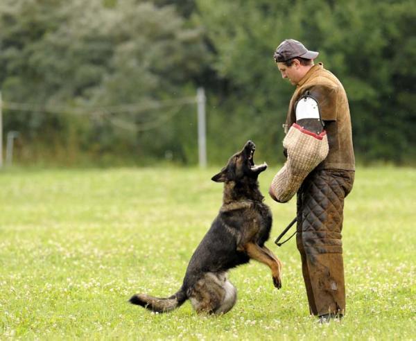 V Aik vom Zellendorfer Land