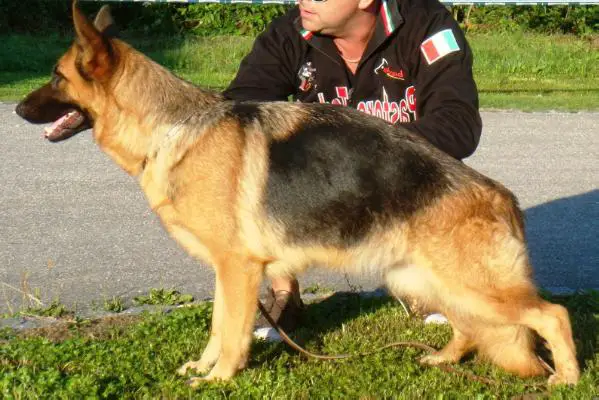 Telma Von Haus Selia