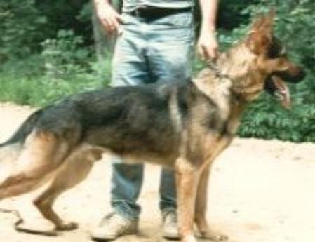 Kay vd Schimmel-Schulz Heide