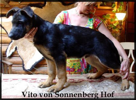 Vito von Sonnenberg Hof
