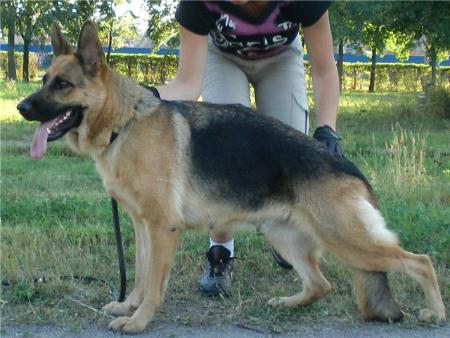 Farnheim Canni Karma