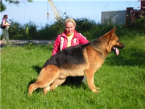 Odin vom Kleinen Land