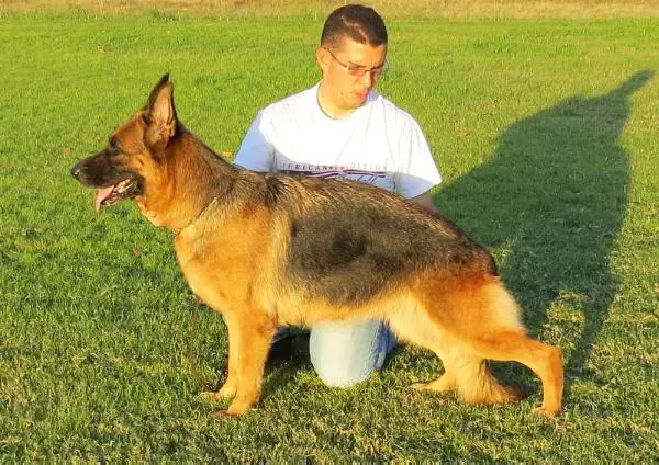 SIEGERIN MUY JOVEN Yeika De Santa Monica