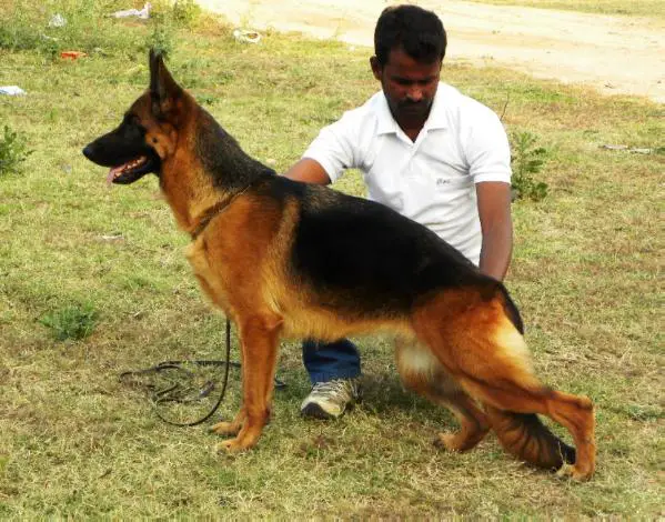 Robin's Xendy at Grandeur