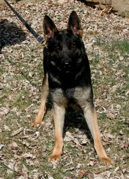 Jyta Von Haus Gierla