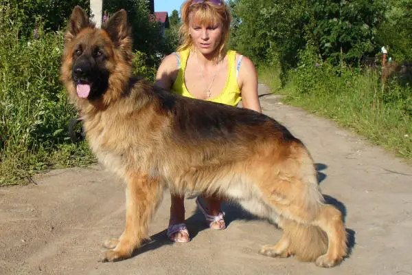 CH.RUS(UCI) Schwarzen Wald CHENDLER