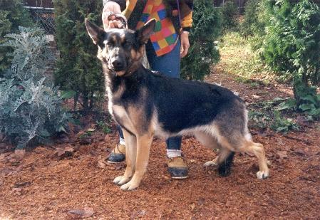 Renmac's April of Nordlicht