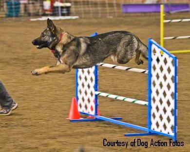 Gilliath vom Wildhaus